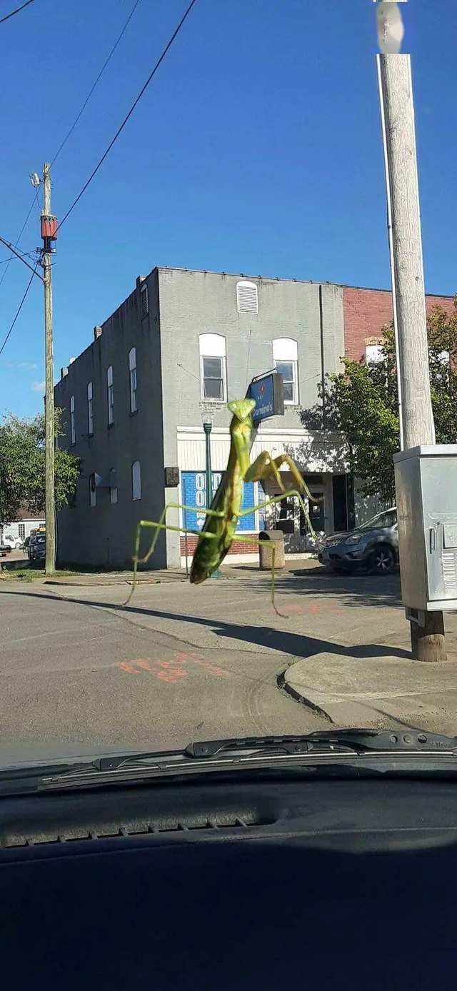 A small yellow human-shaped figure attached to a utility pole on a city street.