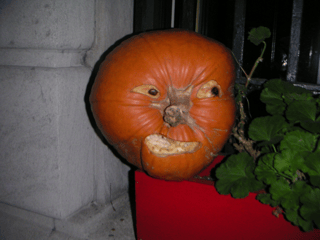 A distorted orange pumpkin beside a stone wall, its folds and seed-filled openings resembling a human face.