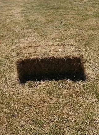 A sharp dark rectangle cut into dry grass.