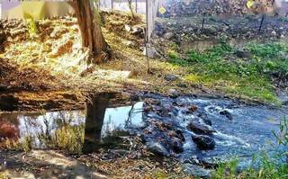 A mirror standing upright in a small stream beside trees.