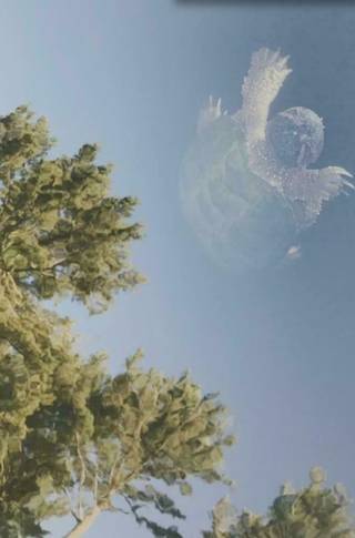 A turtle swimming below pond water that reflects blue sky and trees.