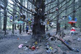 A public tree is surrounded and covered by scattered objects.