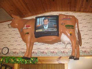 A cow-shaped wall display frames a television indoors.