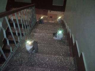 Pairs of glowing points line a dark stairwell.