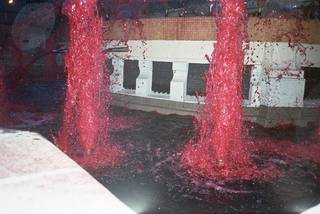 Red-draped interior caught like a staged spill.