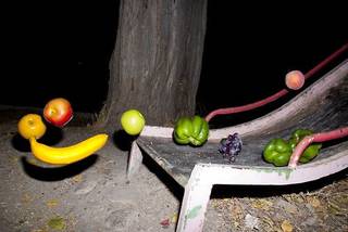 Fruit scattered around a tree in the dark.