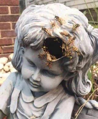 Weathered statue face close-up.