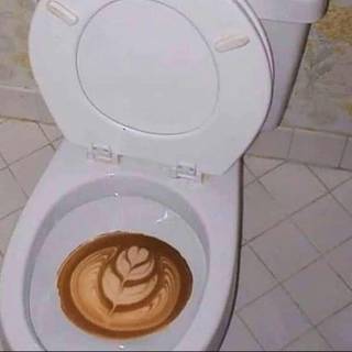 Cursed Toilet from Reddit r/cursedimages.