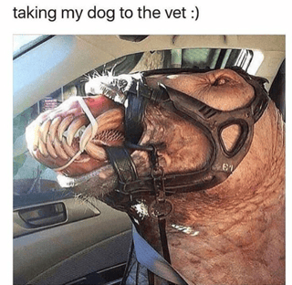 Cursed dog from Reddit r/cursedimages.