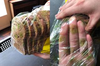 This Bread Packaging That Makes it Look Like is Moldy from Reddit r/CrappyDesign.