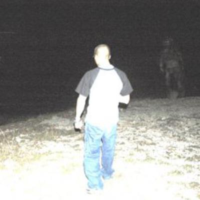 Pale observer at the edge of darkness.