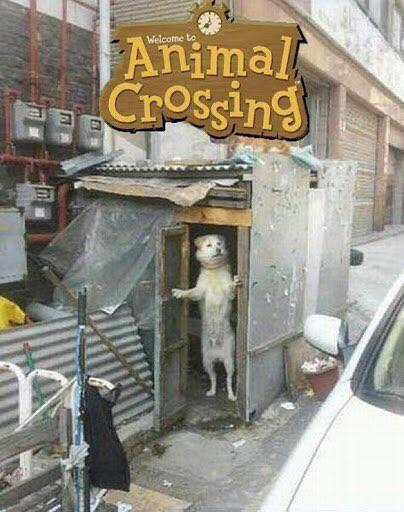 Blursed AnimalCrossing from Reddit r/blursedimages.