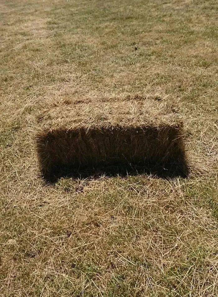 A sharp dark rectangle cut into dry grass.