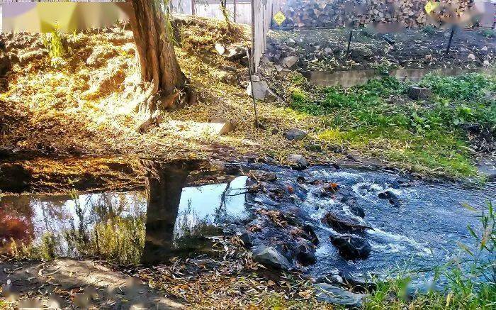 A mirror standing upright in a small stream beside trees.