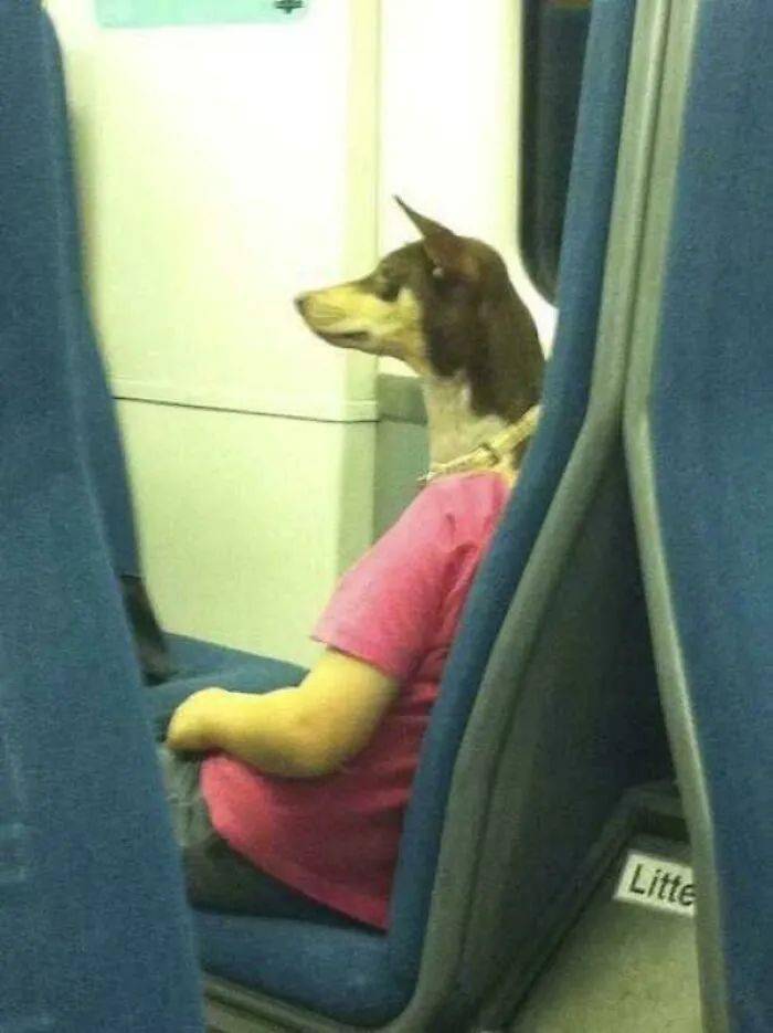 A dog sitting upright in a pink shirt on public transit.