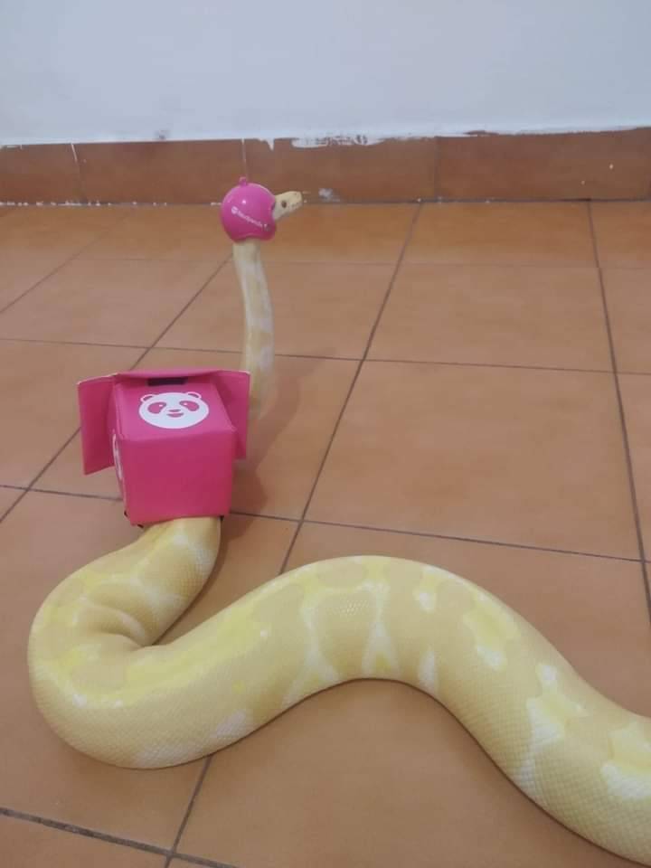 Blursed Food Delivery guy from Reddit r/blursedimages.