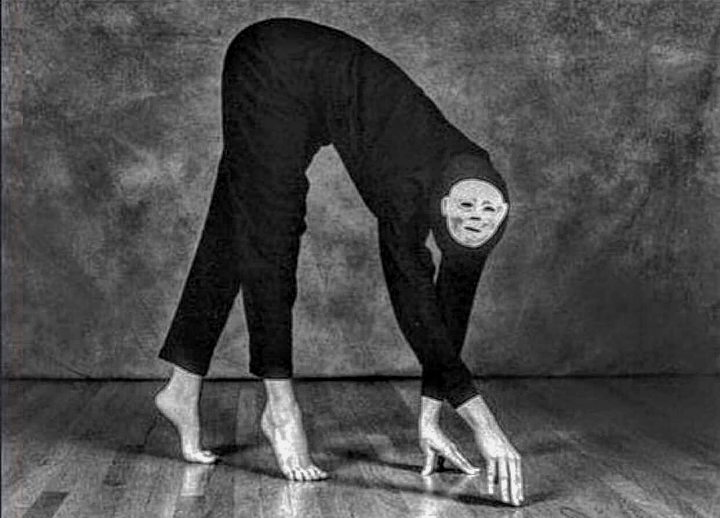 Cursed dog from Reddit r/cursedimages.
