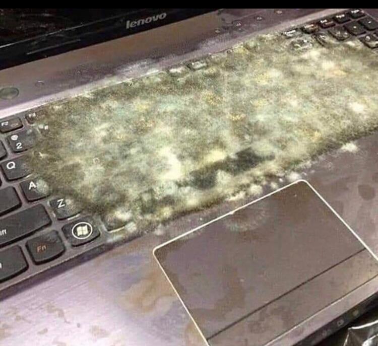 A laptop keyboard is covered by mold-like growth.