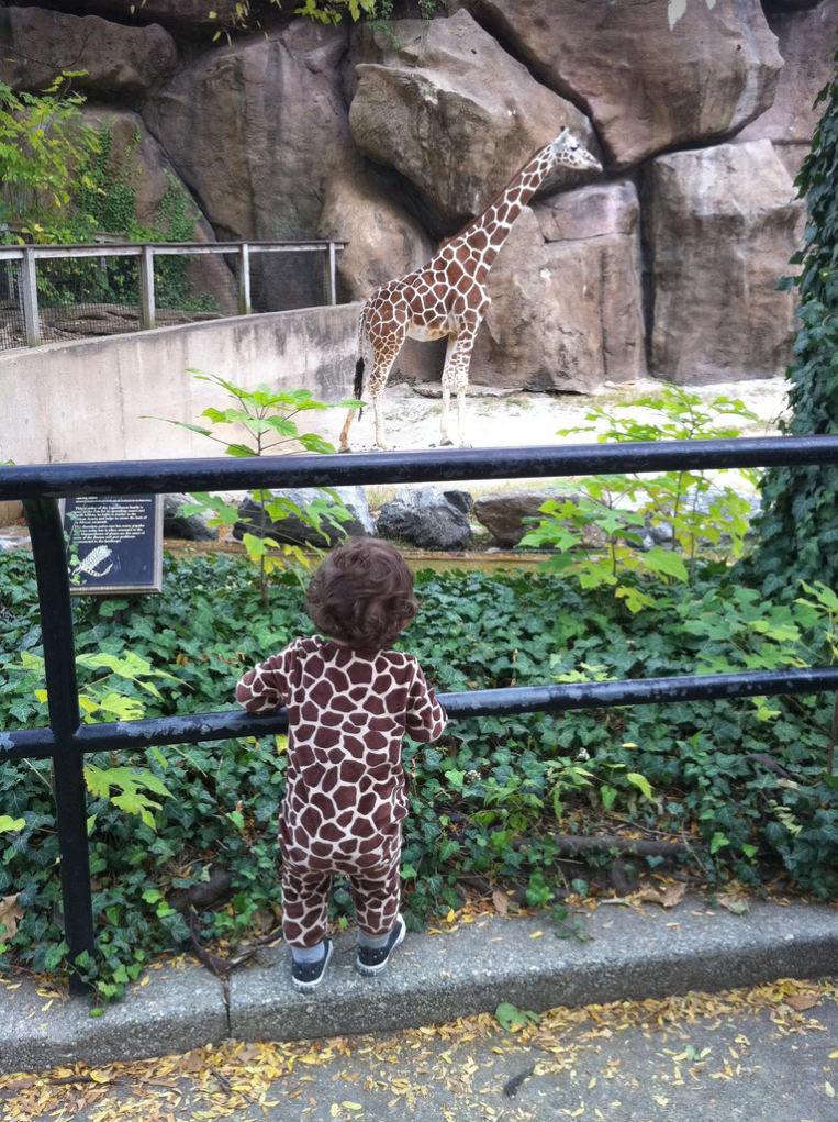 A giraffe near a metal fence with a person in giraffe-patterned clothing below it.