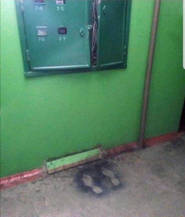 A wall electrical panel appears overgrown or tangled in a green interior.