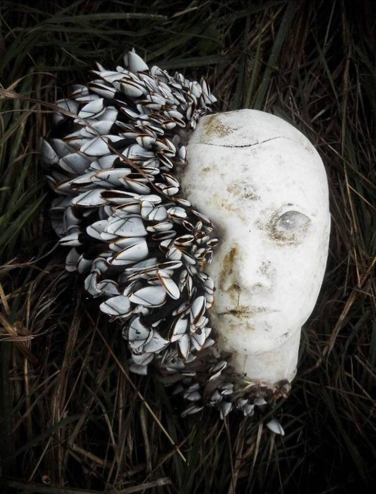 A blank mannequin head is partly covered in shells on the shore.