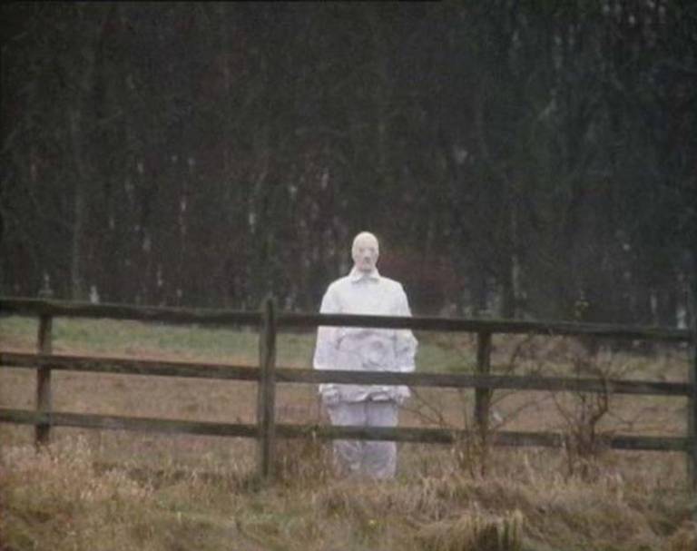 Lone beholder behind a fence.