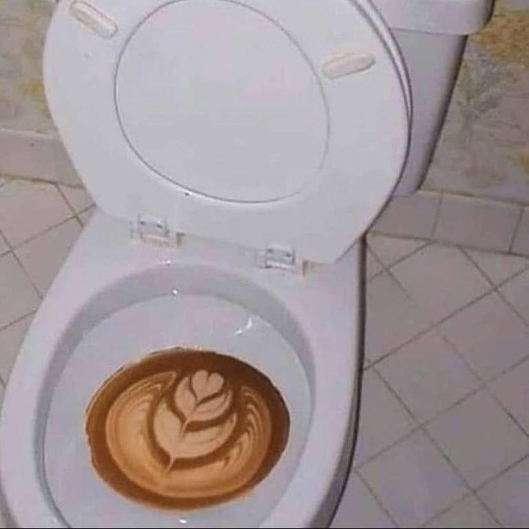 Cursed Toilet from Reddit r/cursedimages.