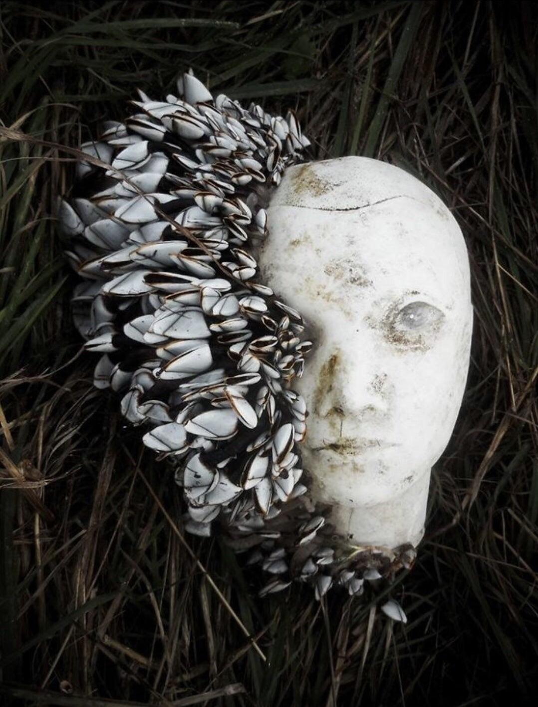 A blank mannequin head is partly covered in shells on the shore.
