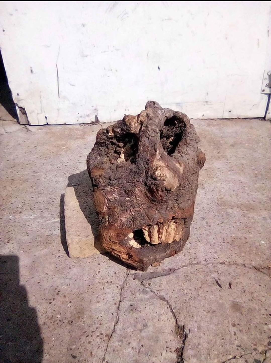 A charred hollow log with two dark cavities and a split resembling an open-mouthed face.