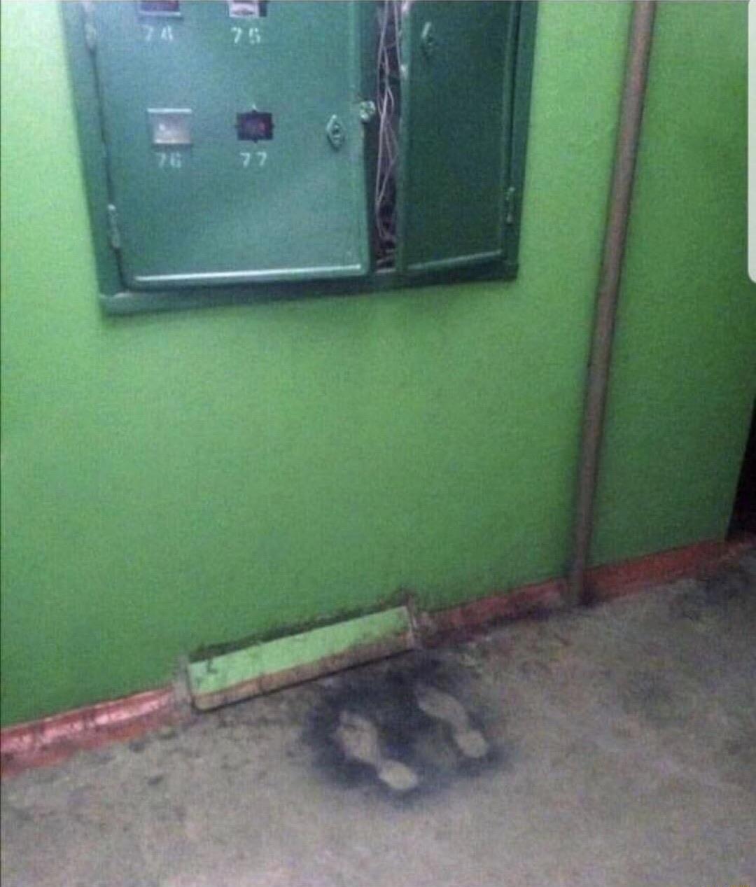 A wall electrical panel appears overgrown or tangled in a green interior.