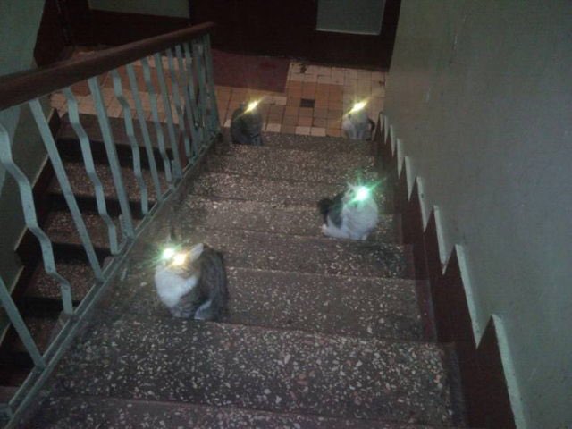 Pairs of glowing points line a dark stairwell.