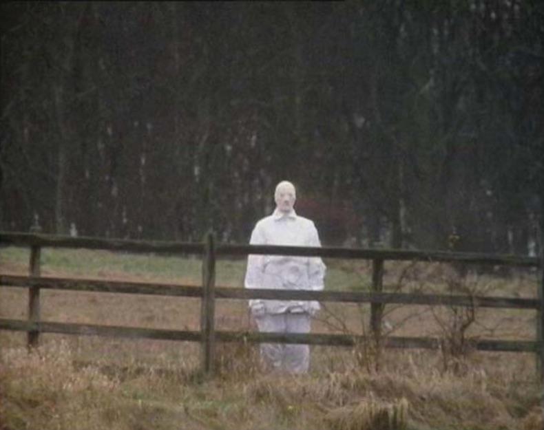 Lone beholder behind a fence.