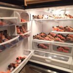 Cursed image of a refrigerator packed with toy figures in swimwear.