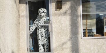 Dalmatian costume standing behind a glass door.
