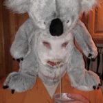 A man wearing a koala costume drinking soda through a straw.