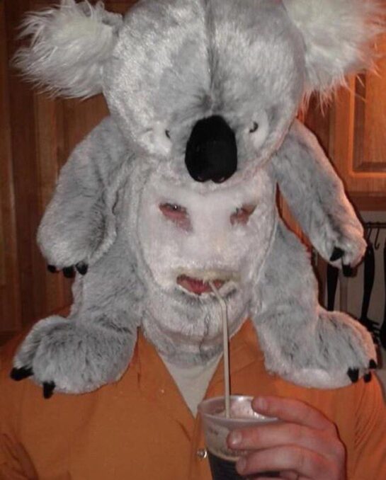 A man wearing a koala costume drinking soda through a straw.