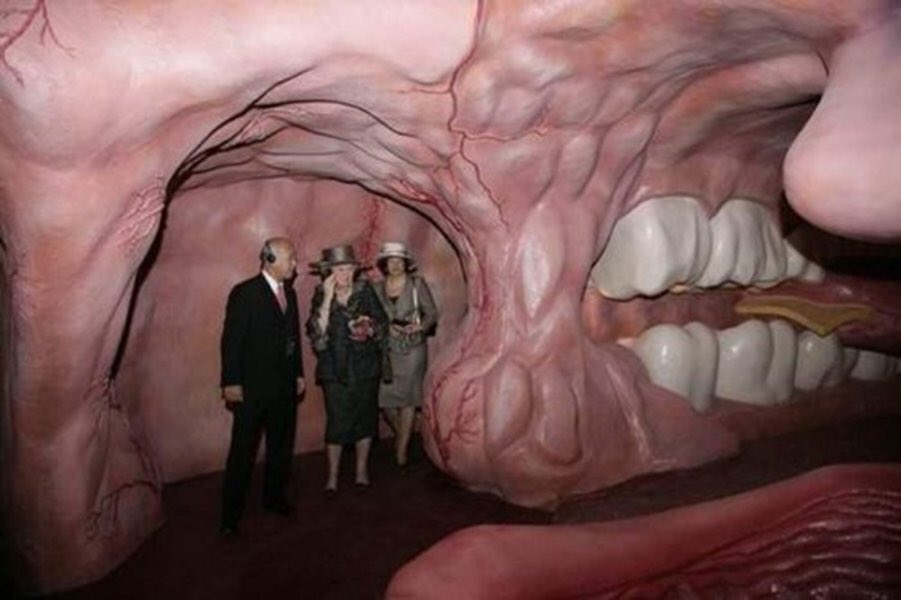 Exploring the Human Mouth: A Tour Nobody Asked For 4 Visitors inside a giant human mouth-themed exhibit, exploring its interior.