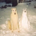 A dog sitting next to a snow sculpture of itself in a snowy yard