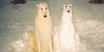 A dog sitting next to a snow sculpture of itself in a snowy yard