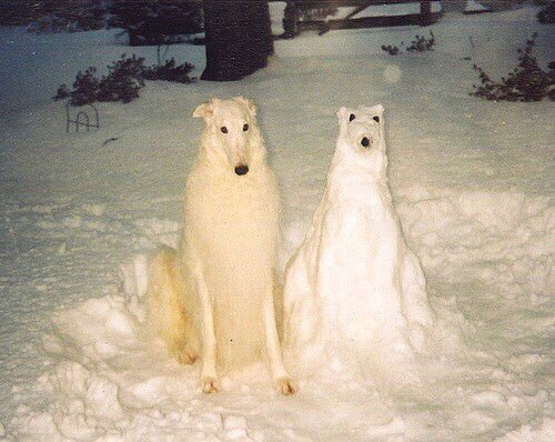 A dog sitting next to a snow sculpture of itself in a snowy yard
